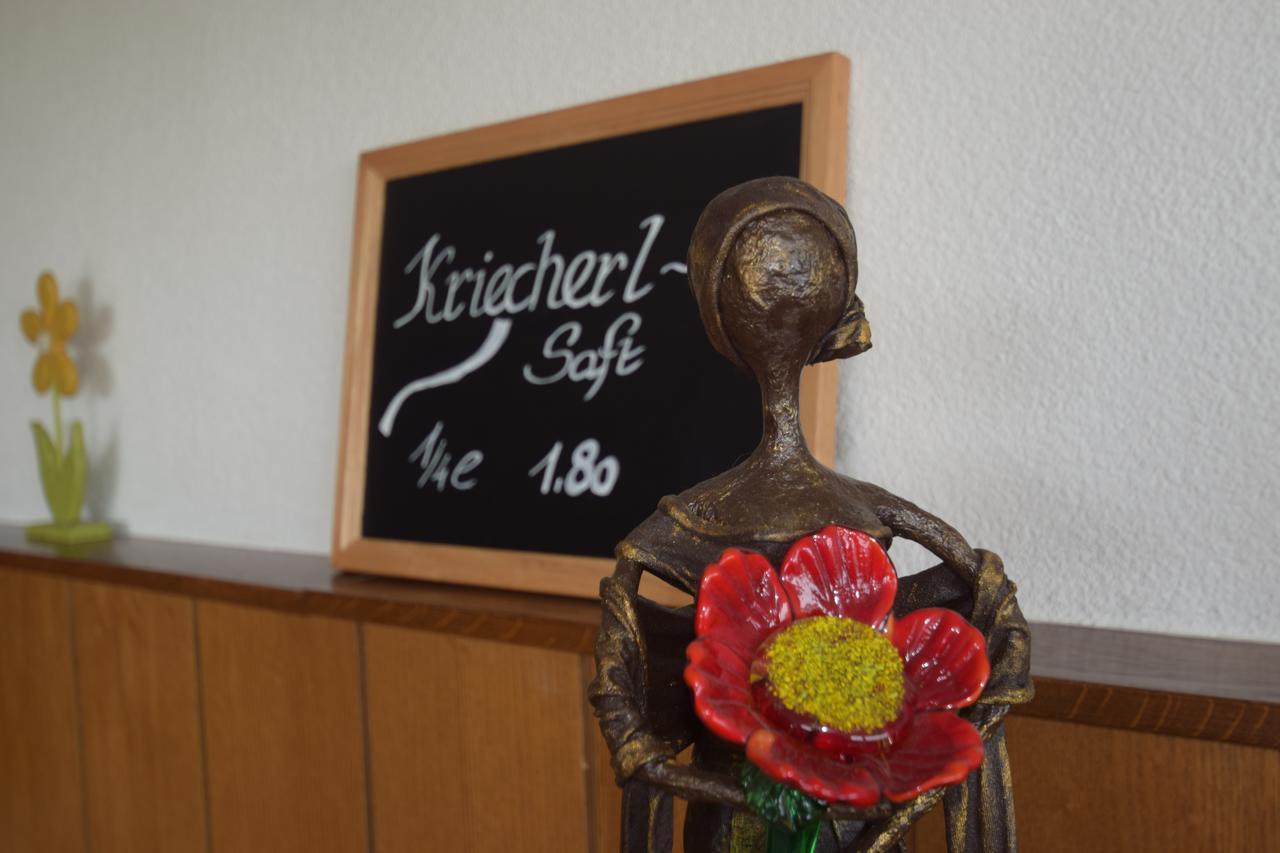 Gasthaus Donaublick Leiben Bagian luar foto